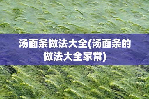 汤面条做法大全(汤面条的做法大全家常)
