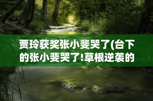 贾玲获奖张小斐哭了(台下的张小斐哭了!草根逆袭的艰辛为何更让人感动)
