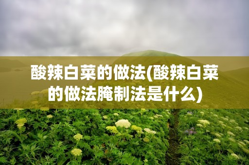 酸辣白菜的做法(酸辣白菜的做法腌制法是什么)