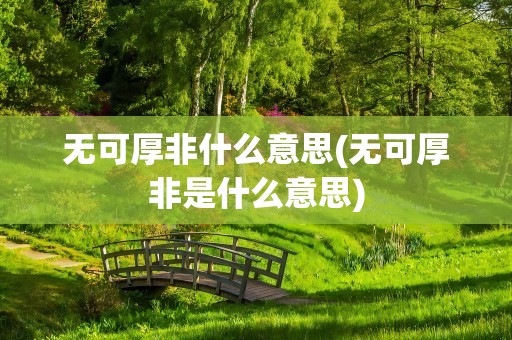 无可厚非什么意思(无可厚非是什么意思)