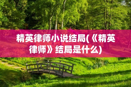 精英律师小说结局(《精英律师》结局是什么)