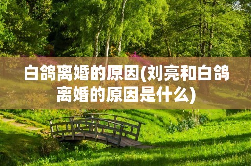 白鸽离婚的原因(刘亮和白鸽离婚的原因是什么)
