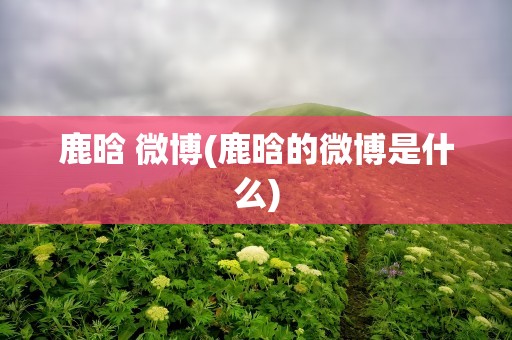 鹿晗 微博(鹿晗的微博是什么)