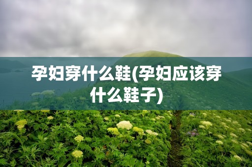 孕妇穿什么鞋(孕妇应该穿什么鞋子)