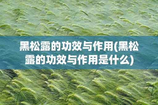 黑松露的功效与作用(黑松露的功效与作用是什么)