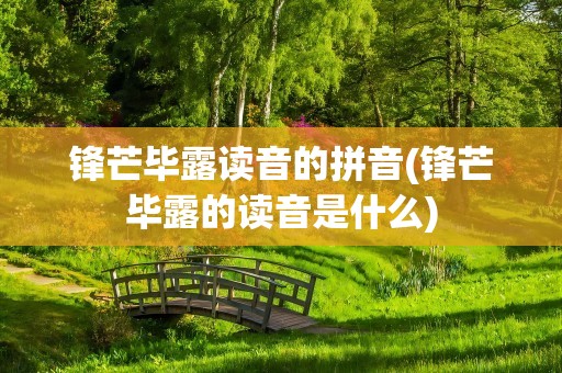 锋芒毕露读音的拼音(锋芒毕露的读音是什么)