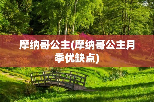 摩纳哥公主(摩纳哥公主月季优缺点)