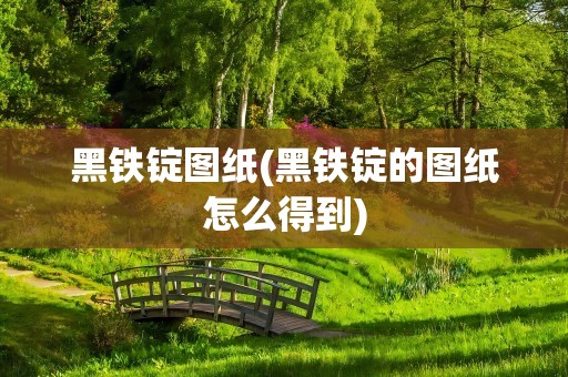黑铁锭图纸(黑铁锭的图纸怎么得到)