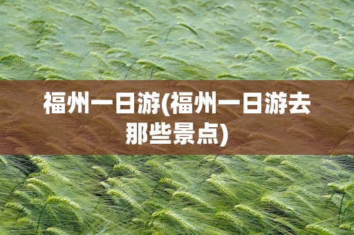 福州一日游(福州一日游去那些景点)
