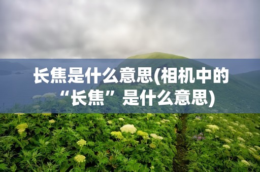 长焦是什么意思(相机中的“长焦”是什么意思)