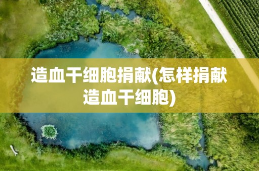 造血干细胞捐献(怎样捐献造血干细胞)