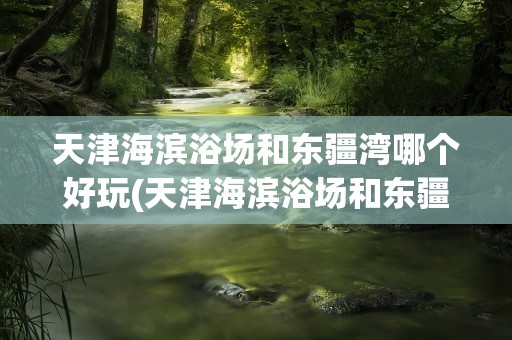 天津海滨浴场和东疆湾哪个好玩(天津海滨浴场和东疆湾哪个好玩点)