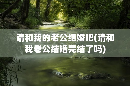 请和我的老公结婚吧(请和我老公结婚完结了吗)