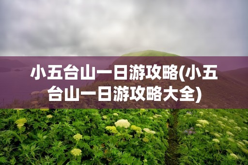 小五台山一日游攻略(小五台山一日游攻略大全)