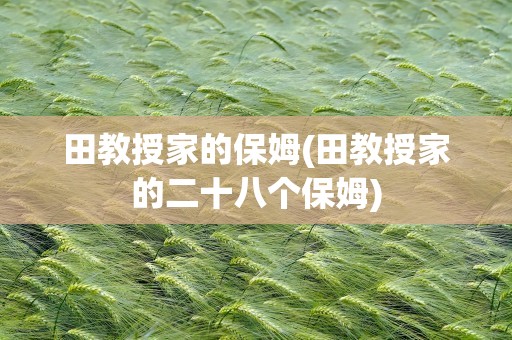 田教授家的保姆(田教授家的二十八个保姆)