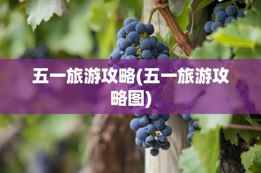五一旅游攻略(五一旅游攻略图)