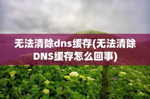 无法清除dns缓存(无法清除DNS缓存怎么回事)