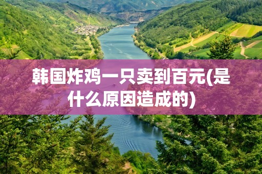 韩国炸鸡一只卖到百元(是什么原因造成的)