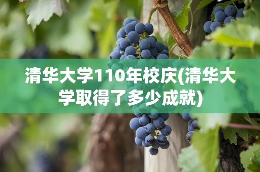 清华大学110年校庆(清华大学取得了多少成就)