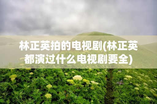 林正英拍的电视剧(林正英都演过什么电视剧要全)