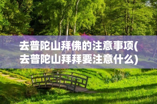 去普陀山拜佛的注意事项(去普陀山拜拜要注意什么)