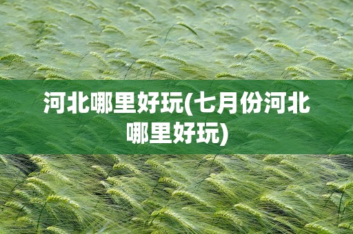 河北哪里好玩(七月份河北哪里好玩)