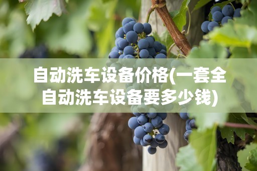 自动洗车设备价格(一套全自动洗车设备要多少钱)