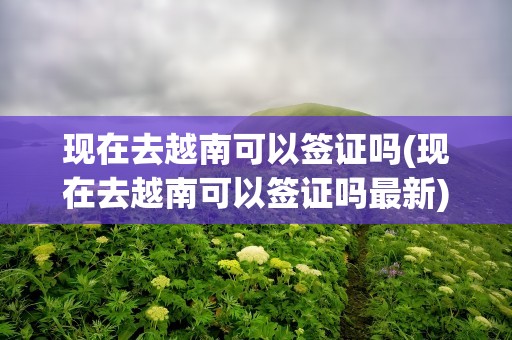 现在去越南可以签证吗(现在去越南可以签证吗最新)