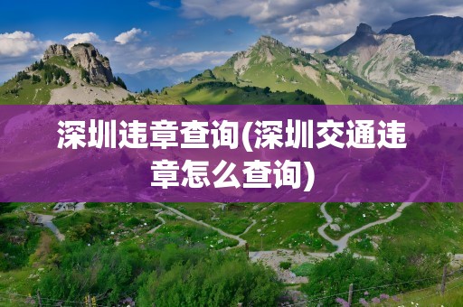 深圳违章查询(深圳交通违章怎么查询)