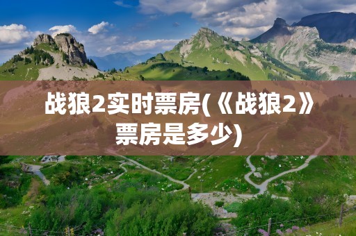 战狼2实时票房(《战狼2》票房是多少)