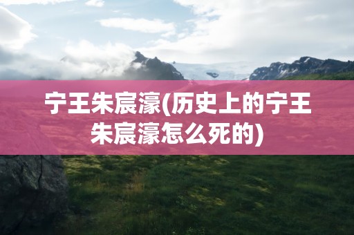 宁王朱宸濠(历史上的宁王朱宸濠怎么死的)