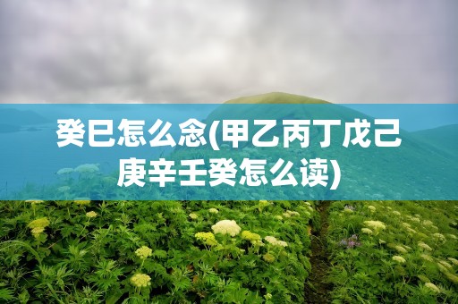 癸巳怎么念(甲乙丙丁戊己庚辛壬癸怎么读)