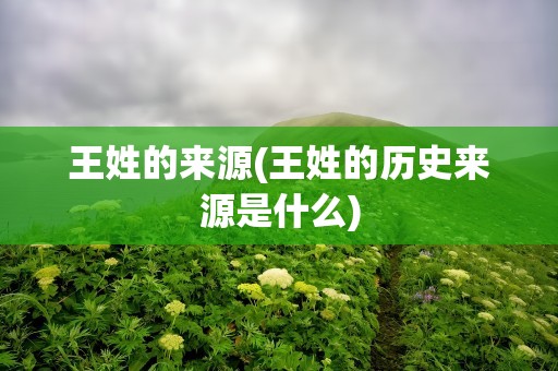 王姓的来源(王姓的历史来源是什么)