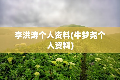 李洪涛个人资料(牛梦尧个人资料)