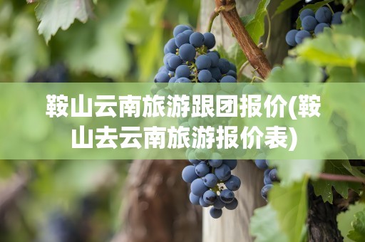 鞍山云南旅游跟团报价(鞍山去云南旅游报价表)