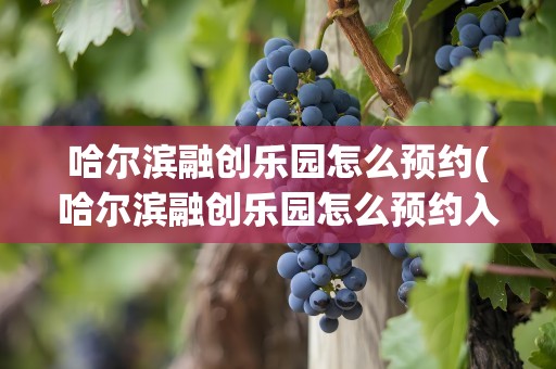 哈尔滨融创乐园怎么预约(哈尔滨融创乐园怎么预约入园)
