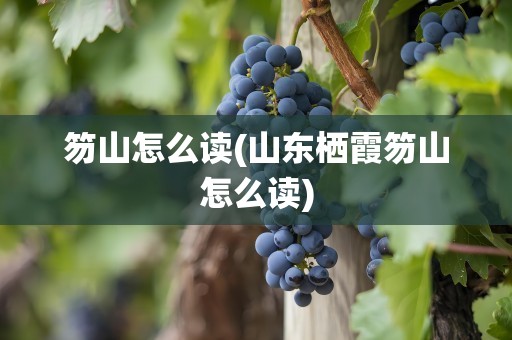 笏山怎么读(山东栖霞笏山怎么读)