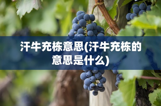 汗牛充栋意思(汗牛充栋的意思是什么)