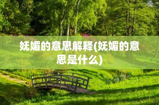 妩媚的意思解释(妩媚的意思是什么)