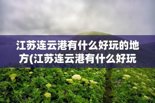 江苏连云港有什么好玩的地方(江苏连云港有什么好玩的地方好玩)