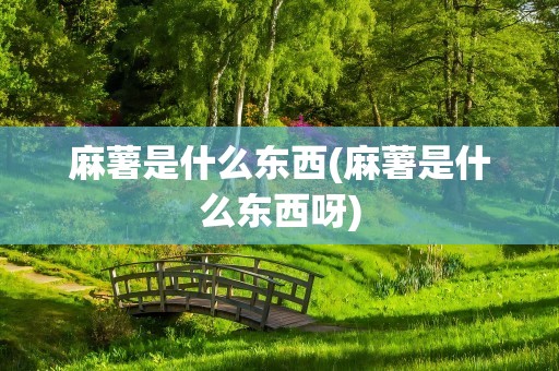 麻薯是什么东西(麻薯是什么东西呀)
