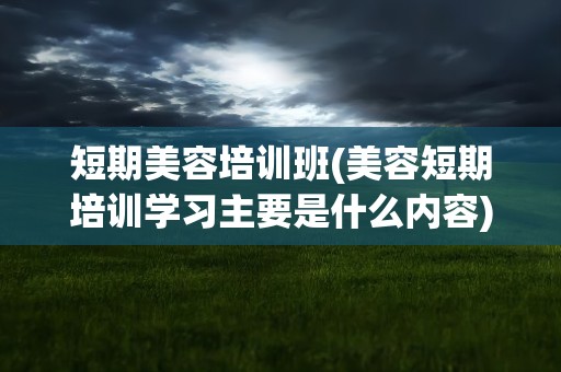短期美容培训班(美容短期培训学习主要是什么内容)