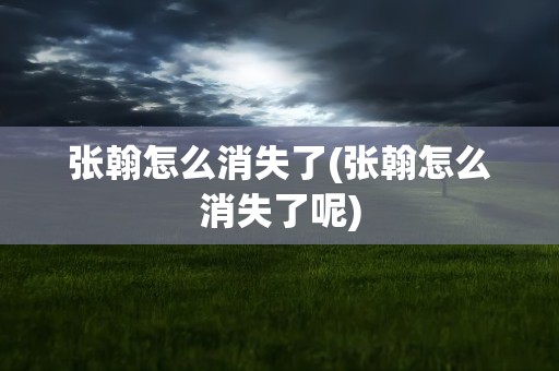 张翰怎么消失了(张翰怎么消失了呢)