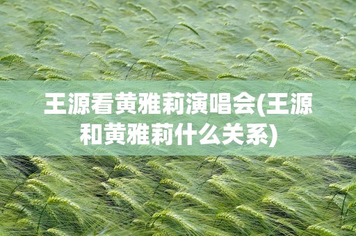王源看黄雅莉演唱会(王源和黄雅莉什么关系)