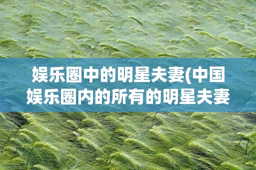 娱乐圈中的明星夫妻(中国娱乐圈内的所有的明星夫妻)