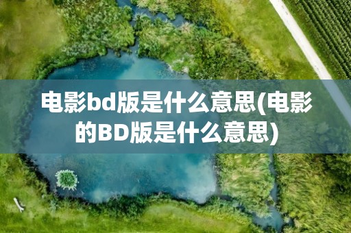 电影bd版是什么意思(电影的BD版是什么意思)