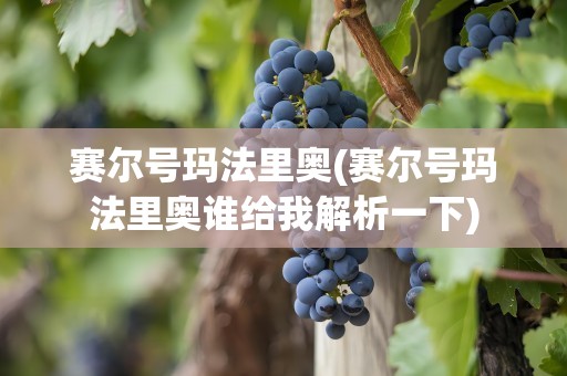 赛尔号玛法里奥(赛尔号玛法里奥谁给我解析一下)
