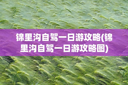 锦里沟自驾一日游攻略(锦里沟自驾一日游攻略图)