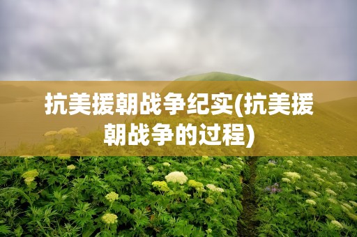 抗美援朝战争纪实(抗美援朝战争的过程)
