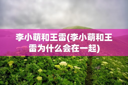 李小萌和王雷(李小萌和王雷为什么会在一起)